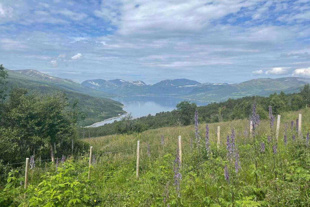 Fjellro Mountain Cabin Oppdal Zewnętrze zdjęcie