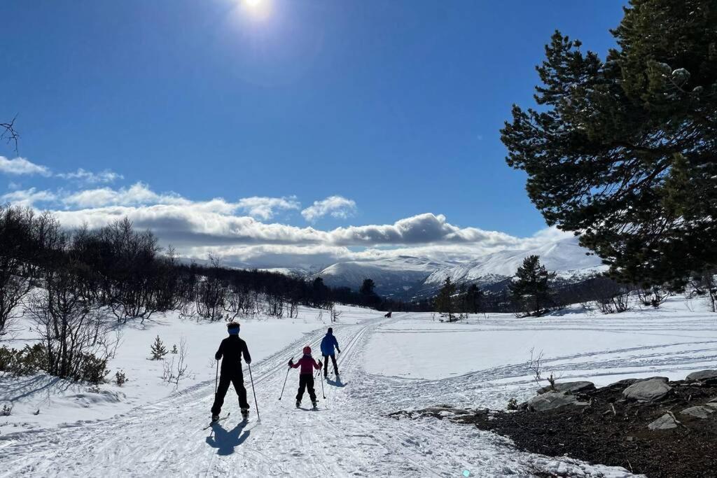 Fjellro Mountain Cabin Oppdal Zewnętrze zdjęcie